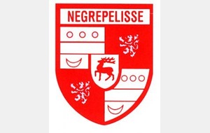Résultats à Nègrepelisse