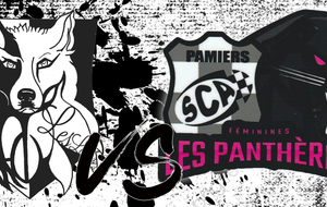 Ras BAGNERES BARONNIES Vs PAMIERS