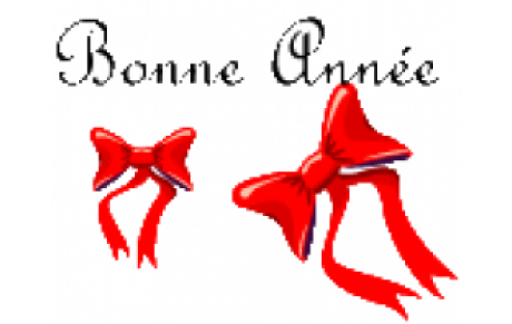 BONNE ANNEE 2011 !