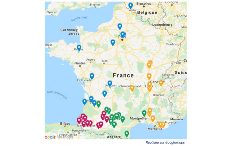 LA POULE DU SPORTING CLUB APPAMEEN